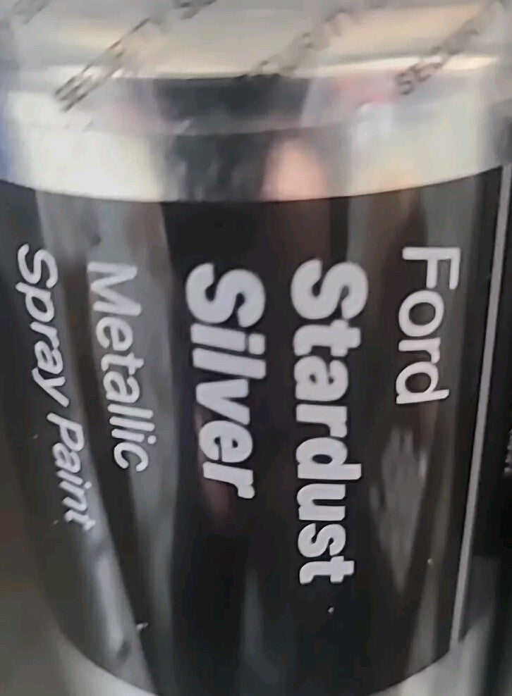 Halfords Ford Stardust silver metalic Pack of 2